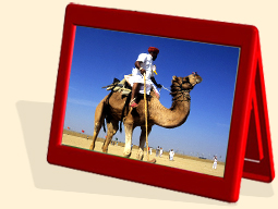 Golden Triangle India Tour