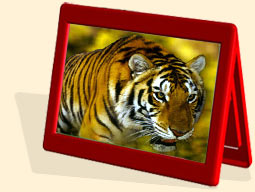 ranthambore national park